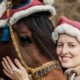 Pferd und Besitzerin mit Weihnachtsmütze